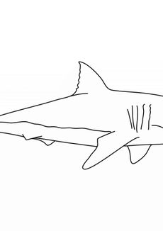 Coloriages d'animaux - Un requin