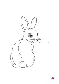 Coloriages d'animaux - Lapin de dos