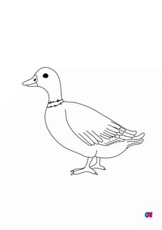 Coloriages d'animaux - Canard 1