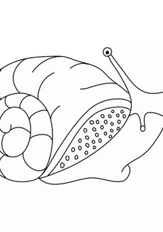 Coloriages d'animaux - Un escargot des jardins