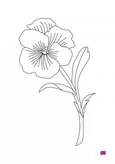 Coloriage Les fleurs