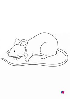Coloriages d'animaux - une souris