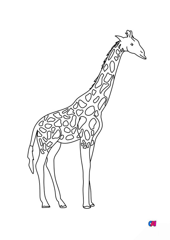 Coloriages Danimaux à Imprimer Girafe