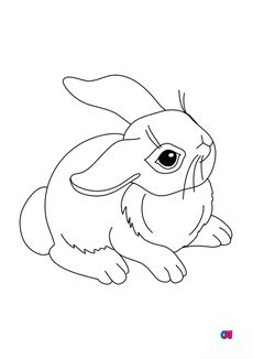 Coloriages d'animaux - Lapin attentif