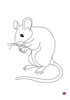 Coloriages d'animaux - Souris 2