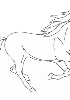 Coloriage de chevaux - Cheval au galop
