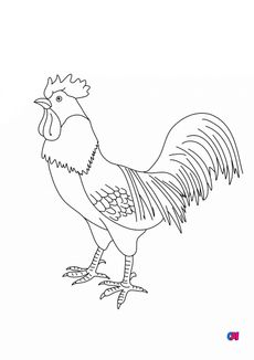 Coloriages d'animaux - Un coq