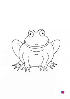 Coloriages d'animaux - Une grenouille