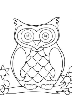 Coloriages d'animaux - Hibou