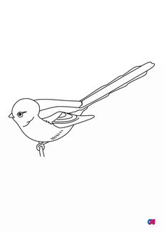 Coloriage d'oiseau - Les oiseaux - Mésange à longue queue