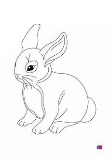 Coloriages d'animaux - Un joli petit lapin