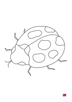 Coloriages d'animaux - Une coccinelle