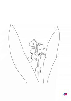 Coloriage de fleurs - Muguet