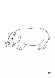 Coloriages d'animaux - Un Hippopotame