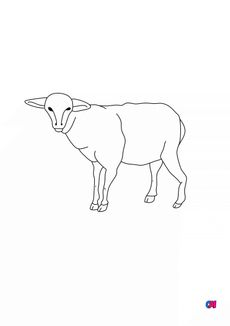 Coloriages d'animaux - Mouton