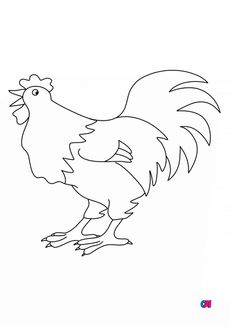 Coloriages d'animaux - Le coq chante