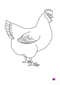 Coloriages d'animaux - Une poule