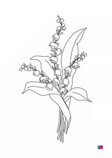 Coloriage Muguet du 1er mai