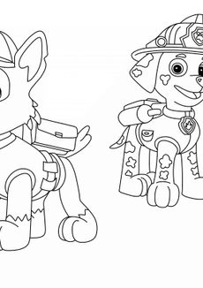 Coloriage Pat Patrouille - Rocky et Marcus