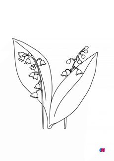 Coloriage de fleurs - Muguet