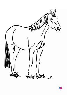 Coloriage de chevaux - Cheval à l'arrêt