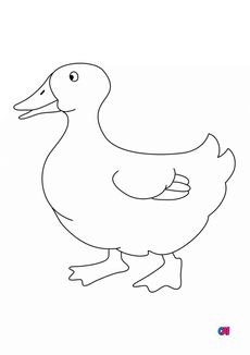 Coloriages d'animaux - Un canard