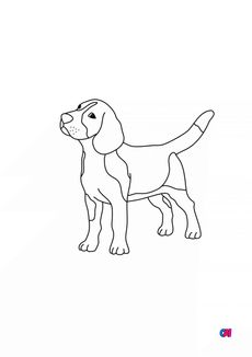 Coloriages d'animaux - chien à colorier